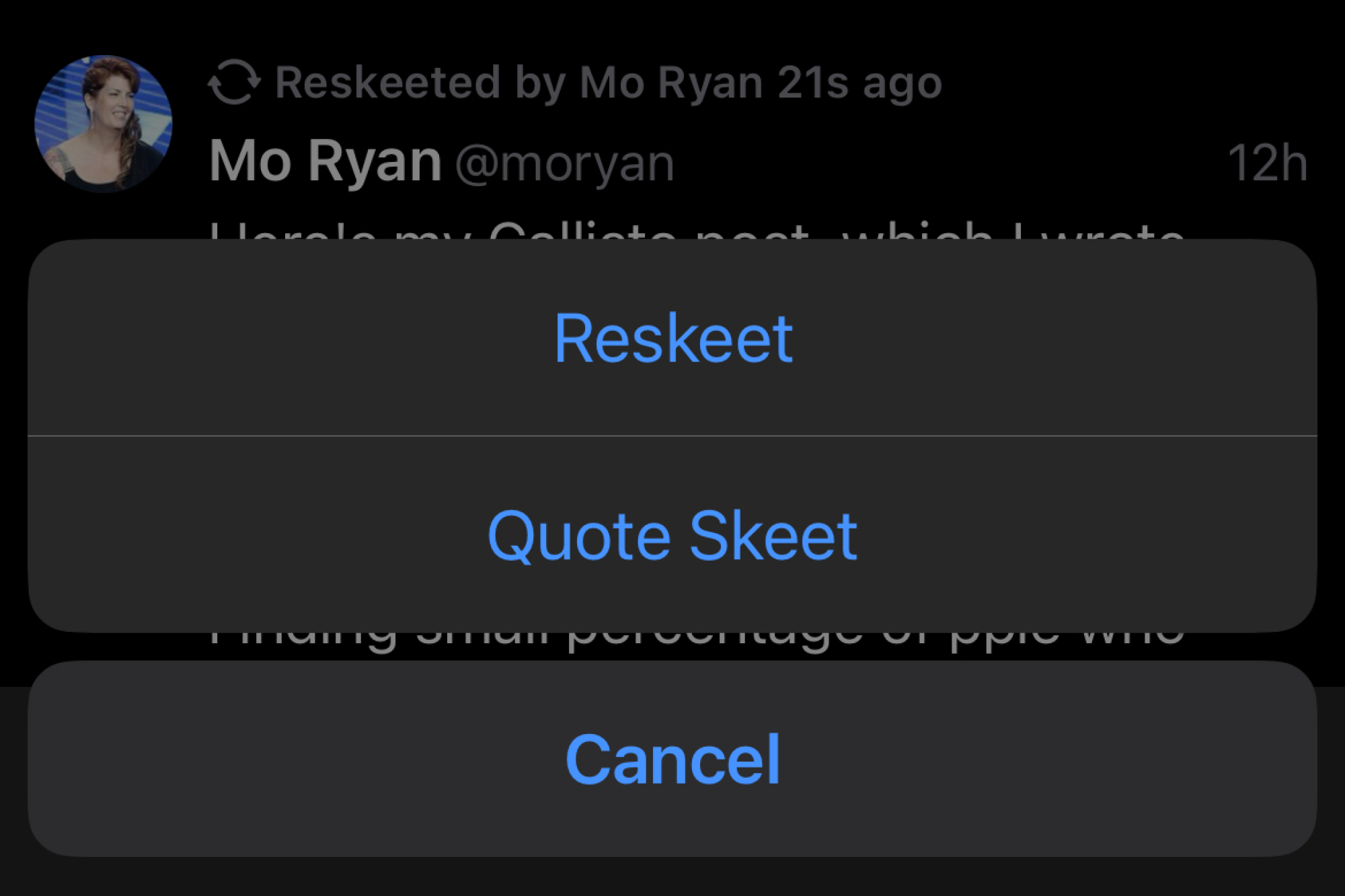 A screenshot showing the "reskeet" language within the app