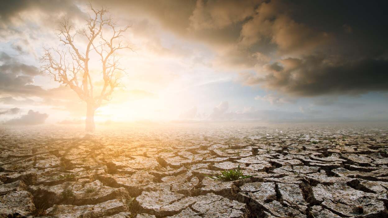 ...be afraid of global environmental catastrophe.