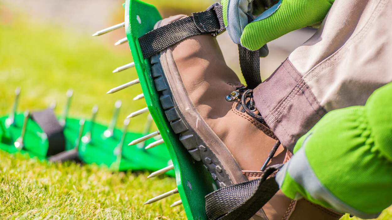 Aerate your lawn for deeper root growth